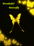 pic for Wonderful Butterfly